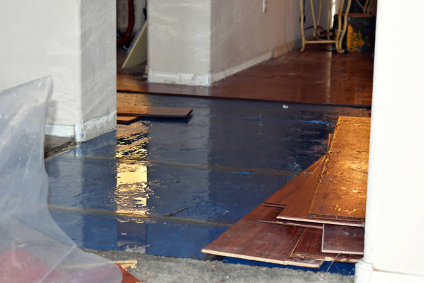 Professional Water Damage technician working in Riverside, CT